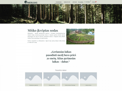 medlijas.lt snapshot