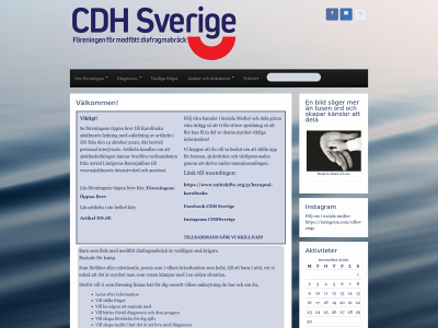 cdhsverige.se snapshot