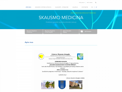 skausmomedicina.lt snapshot