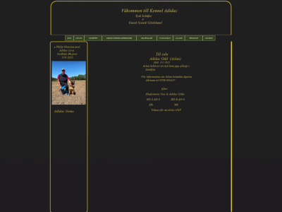 adidac.se snapshot