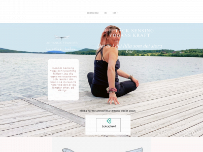johannafrances.se snapshot