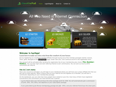 www.hustlepal.com snapshot