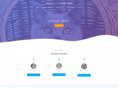bkh-blue.de snapshot