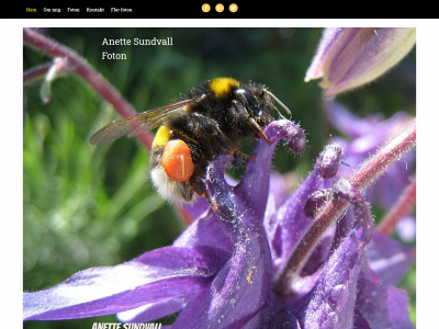 anettesundvall.se snapshot