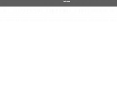 skyframedrones.com snapshot