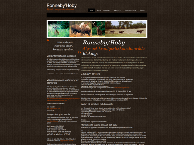 ronnebyasko.se snapshot