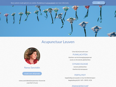 acupunctuur-leuven.be snapshot