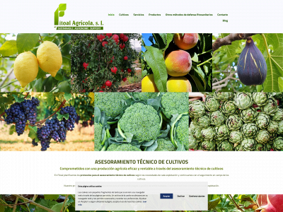 www.fitoal.net snapshot