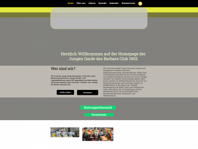 jungibarbara.ch snapshot