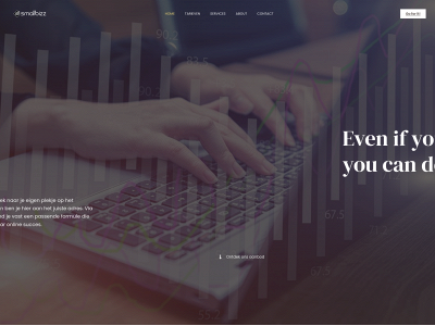 smallbizz.be snapshot