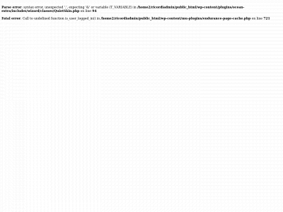 ricordivoyage.com snapshot