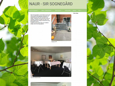 naur-sir-sognegaard.dk snapshot