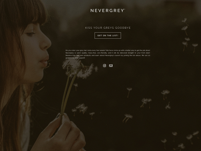 thenevergrey.com snapshot