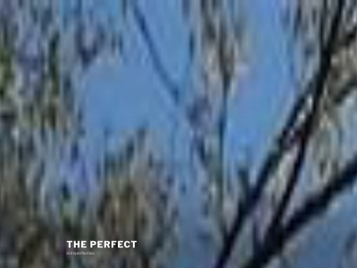 theperfectinimperfection.com snapshot