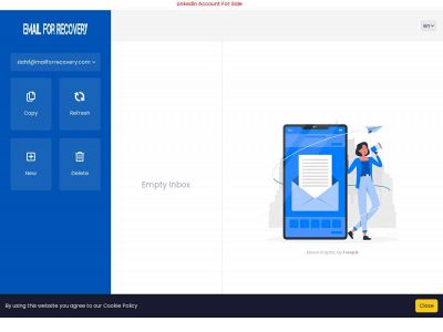 mailforrecovery.com snapshot