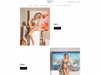 deluxialingerie.nl snapshot