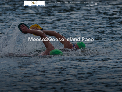 moose2goose.com snapshot