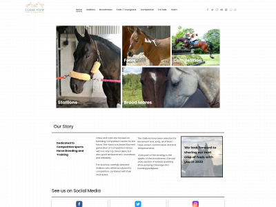 clearviewstud.com snapshot