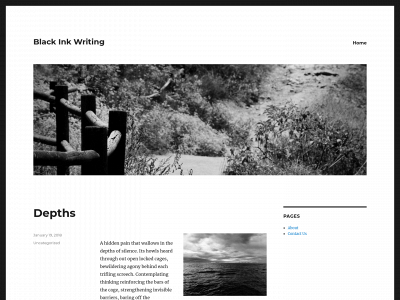 blackinkwriting.com snapshot
