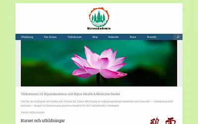 biyun.se snapshot