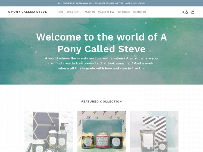 www.aponycalledsteve.co.uk snapshot