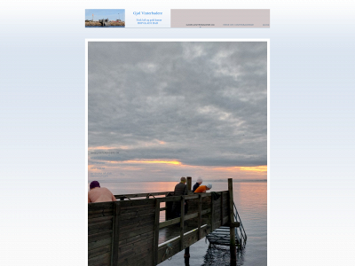 gjoelvinterbadere.dk snapshot