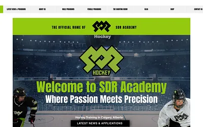 sdracademy.com snapshot