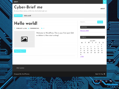 cyber-briefing.com snapshot
