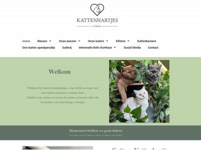 catterykattenhartjes.nl snapshot
