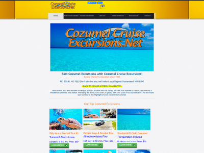 cozumelcruiseexcursions.net snapshot
