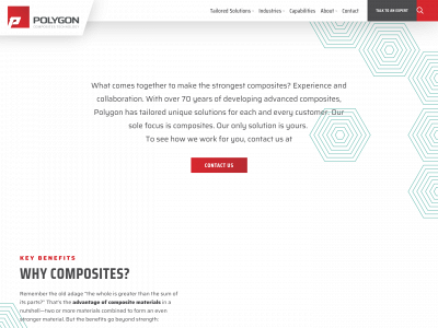 polygoncomposites.com snapshot