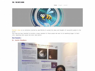 thebeesshow.weebly.com snapshot