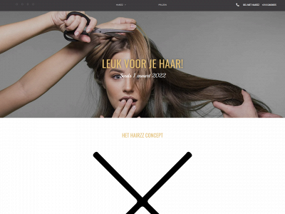hairzz.nl snapshot