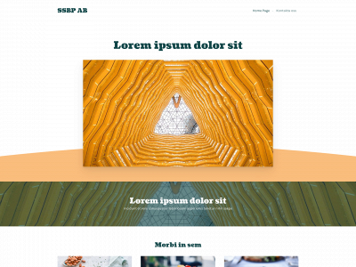 ssbpab.se snapshot