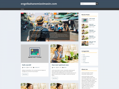 engelbahanemizolmasin.com snapshot