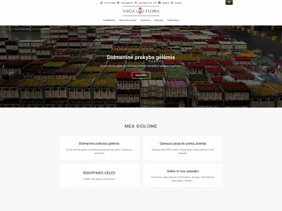 vagaflora.lt snapshot