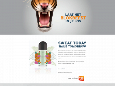 blokbeest.be snapshot