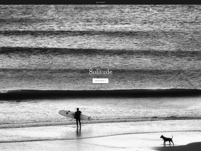 www.soulof.surf snapshot