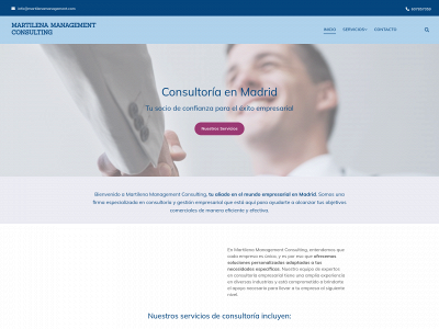 www.martilenamanagement.com snapshot