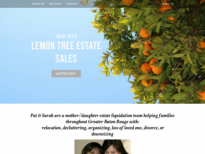 lemontreeestatesales.weebly.com snapshot