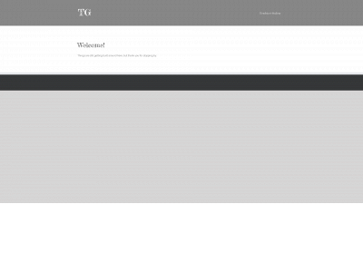 tillmangruenberg.com snapshot