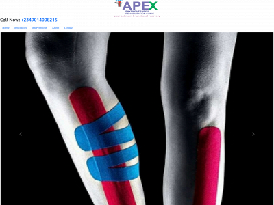 apexphysiotherapyclinic.com.ng snapshot