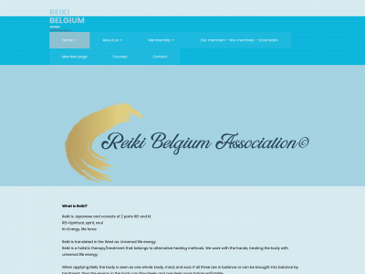 reikibelgiumassociation.com snapshot