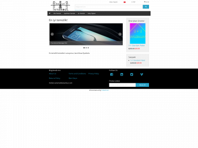 evtemizlikistanbul.com snapshot
