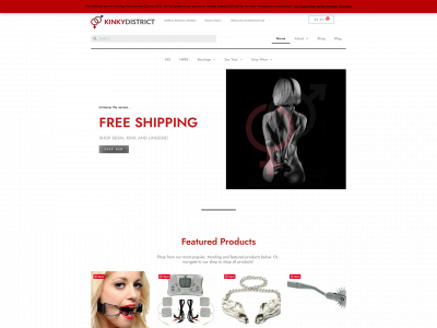 kinkydistrict.com snapshot