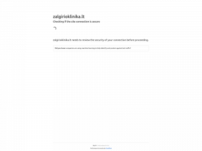 zalgirioklinika.lt snapshot