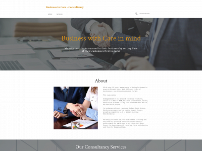 businessincare.com snapshot