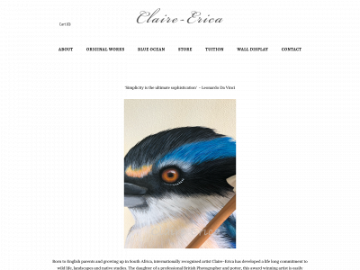 www.claireerica.com snapshot