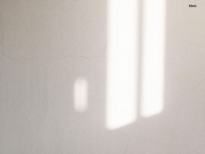 gibtner-weidlich.de snapshot