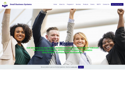 smallbusinesssystems.us snapshot